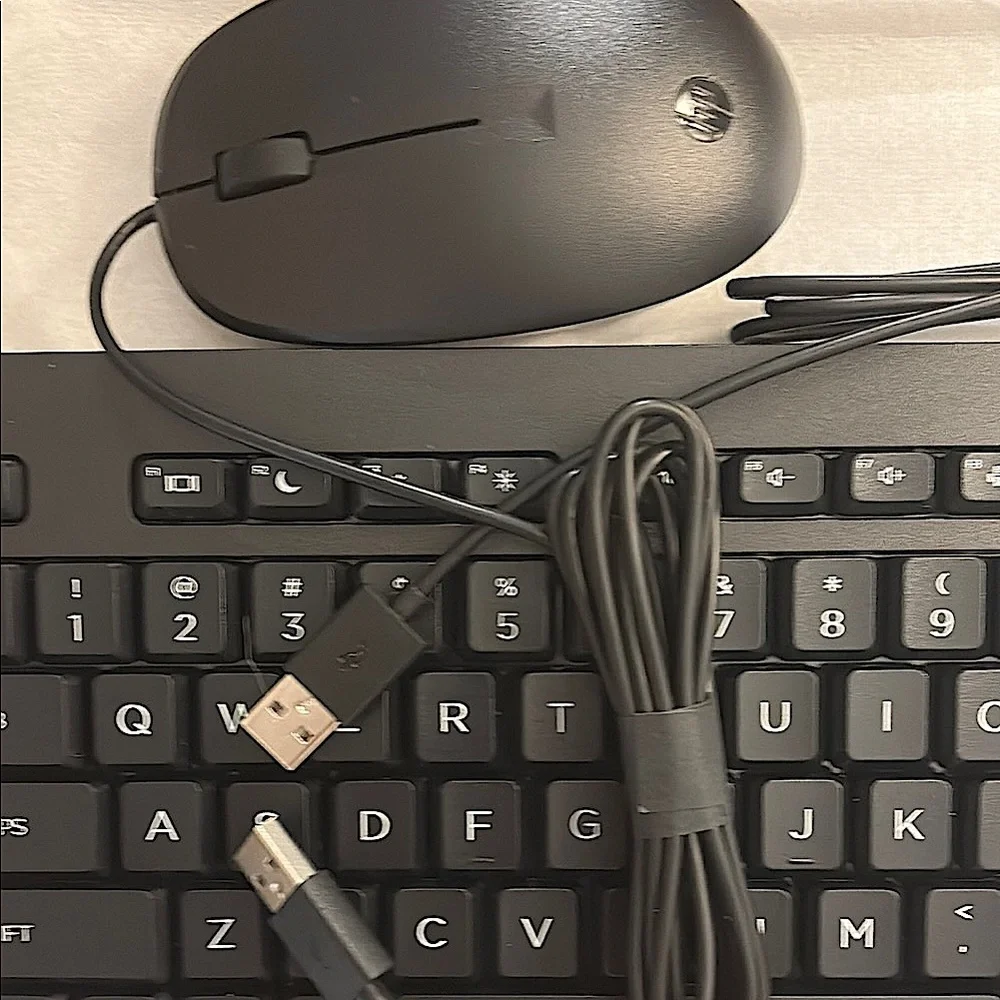 HP Black Wired Keyboard and Mouse Set